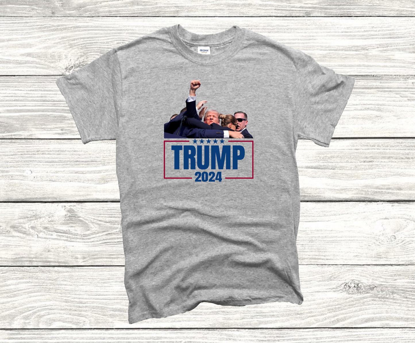 TRUMP 2024 T-Shirt (GRAY)